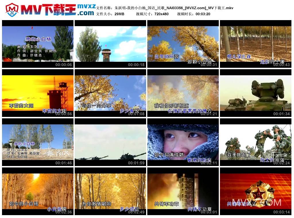 朱跃明-我的小白杨_国语_民歌_NAI03356